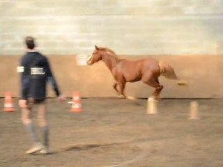 Vespa Mad par Paolik Kersidal 3 ans saut en liberté