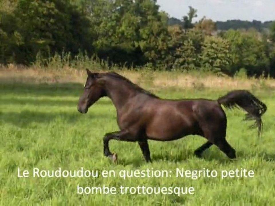 Souvenirs de l'été dernier