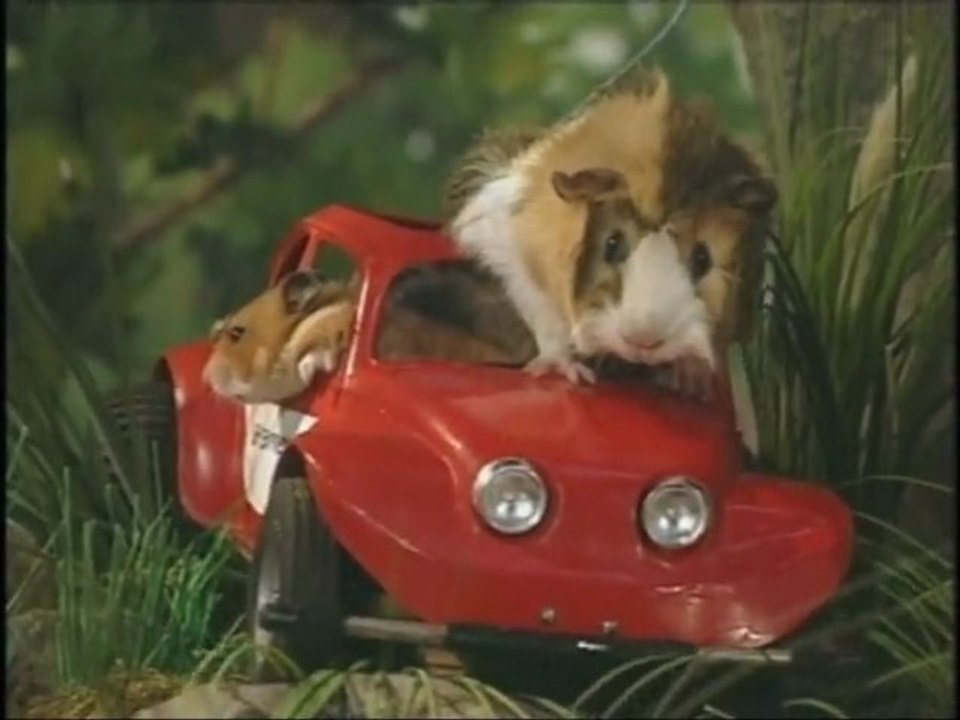 I Get Around Muppets Music Video