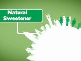 Natural Sweetener Stevia