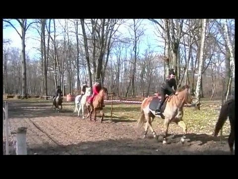 Lamotte Beuvron 2012