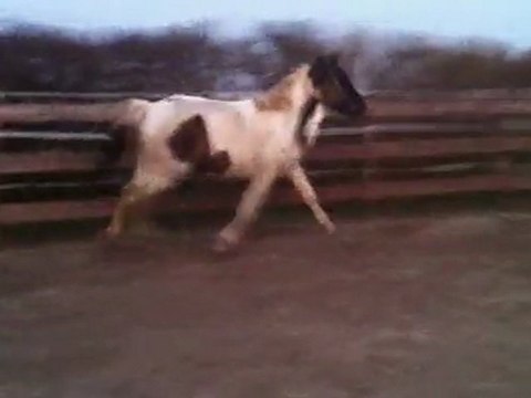 premiere séance saut utopia