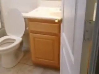 McDowell Mountain Ranch Homes