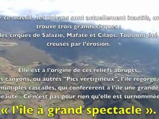 comme un oiseau du 974