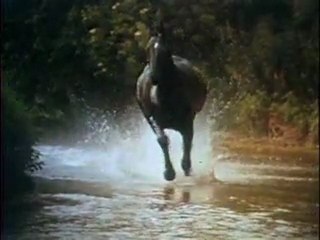 Adventures of Black Beauty - Opening theme intro