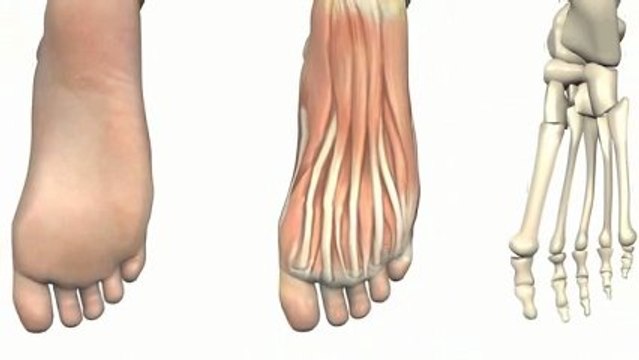 Podiatrist Charlestown Charlestown Podiatry Clinic NSW