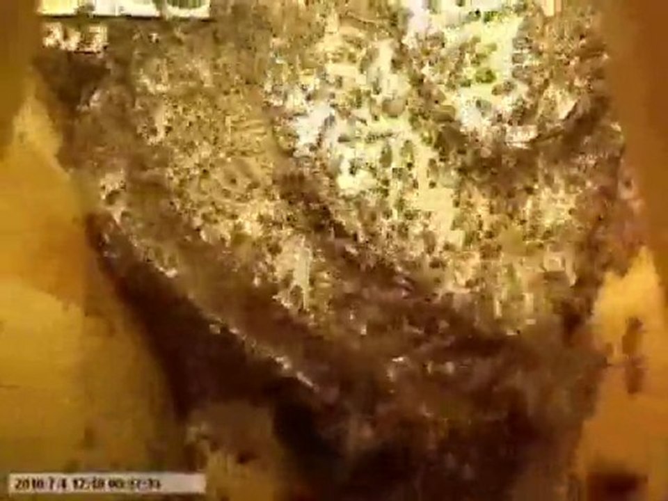 "Arının kovana yerleşmesi ve kara kovan balının yapılışı " Soner GENEL