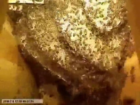 Arının kovana yerleşmesi ve kara kovan balının yapılışı Soner GENEL