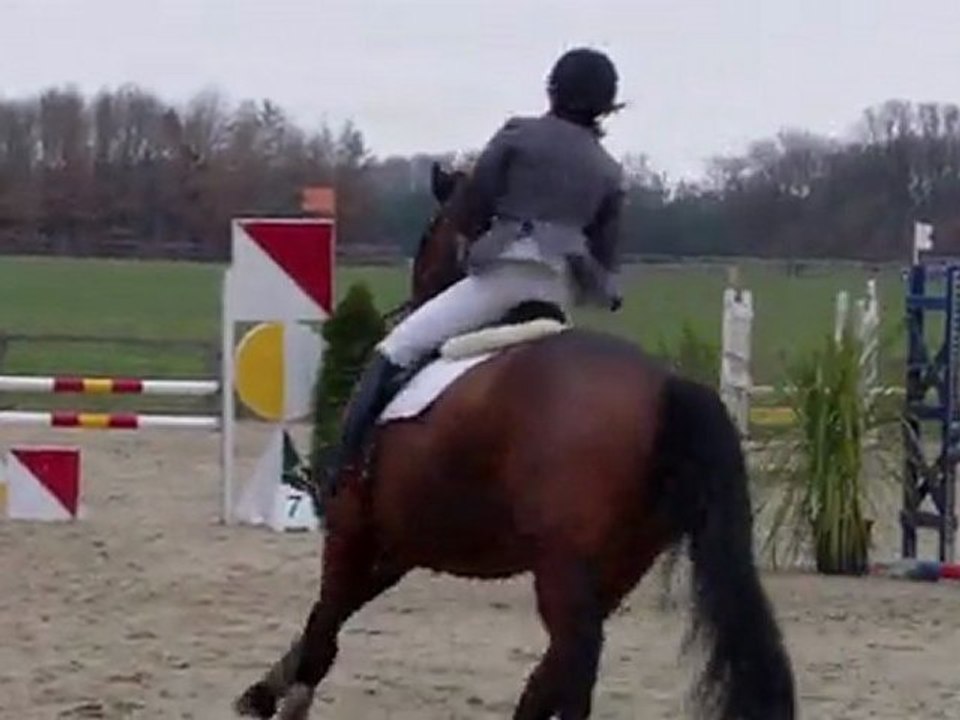 réale horse ball 10 Mars 2012