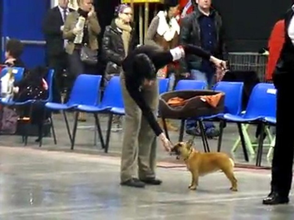 maia ring douai 2012