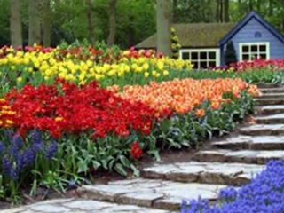 AYŞE TUNALI SEFALAR GETİRDİNİZ