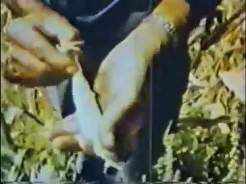 Dailymotion - La fin des temps était déjà annoncé par David WILKERSON 2 5 - une vidéo Actu et Politique