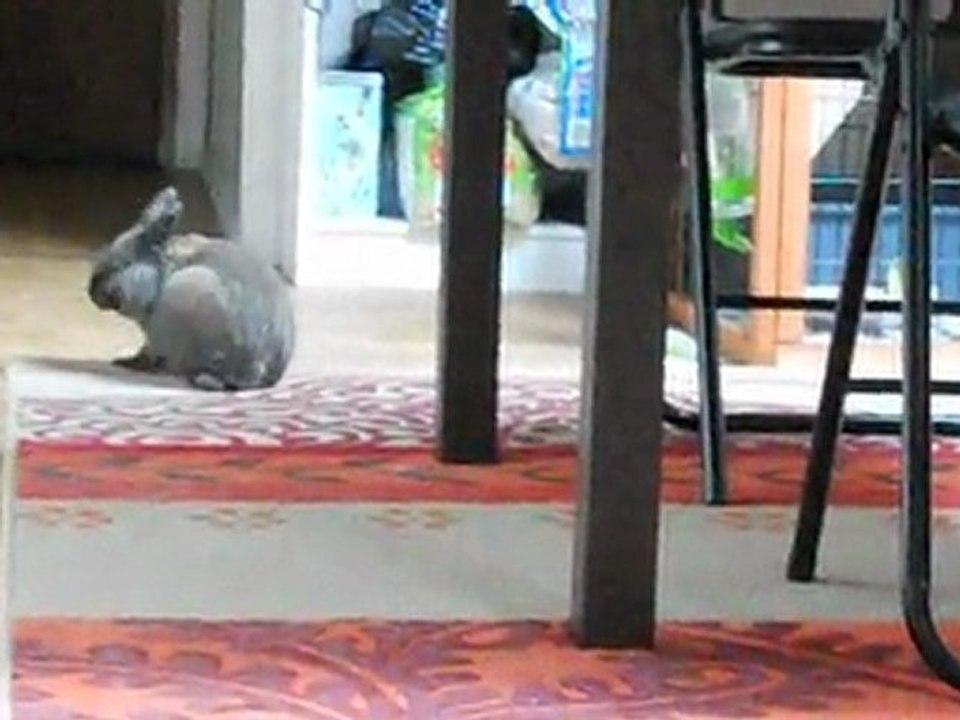 [rêves de toits] Galaxy