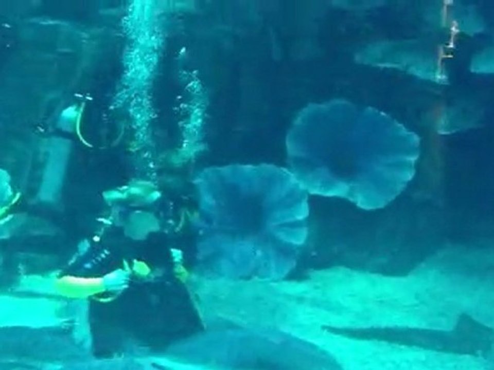 Anna in Dubai-2