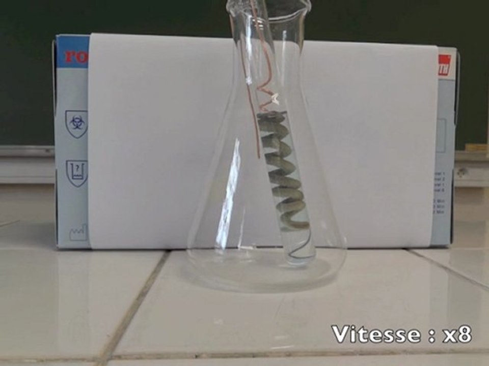 L'arbre de Diane - Magie et chimie