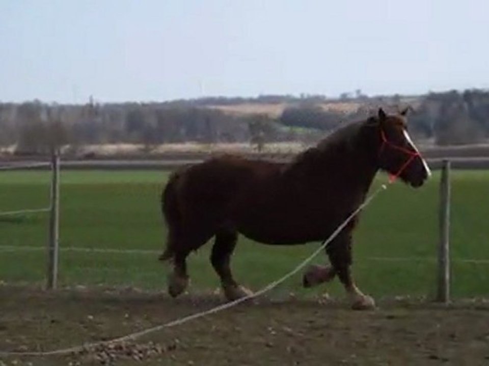 uria et lulu longe 1