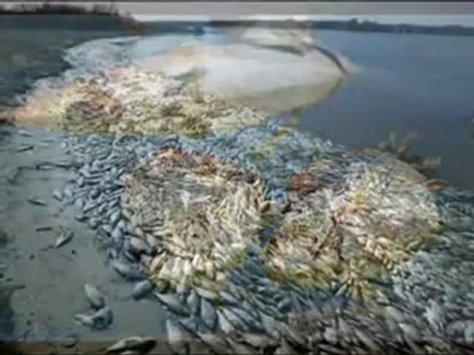 The 2012 Food Crisis | Emergency Preparedness | Survive Food Crisis | Emergency Food