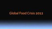 Price of Food to Escalate in 2012! The Looming Food Crisis! | Disaster Preparedness Kit
