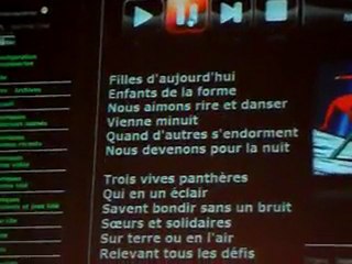 Japan Event 10 mars 2012 - Saint-Etienne- coucou circus (4)