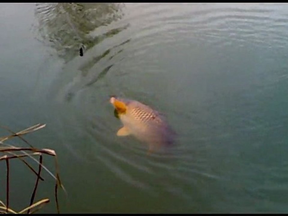 Pêche détente à Montdidier
