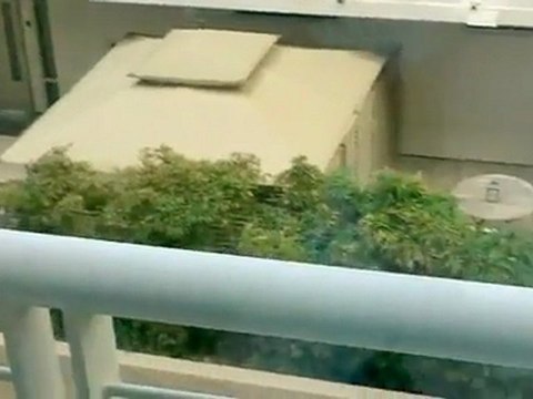 Downtown San Diego Condo