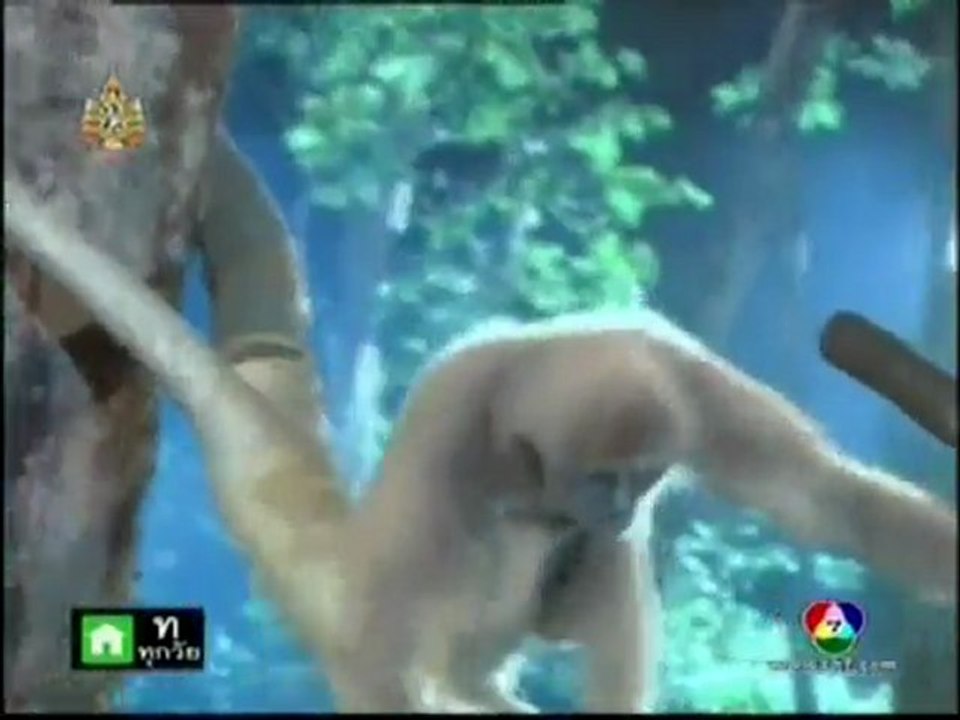 16-Preah Neang Pka Pkol (D2)-Title8