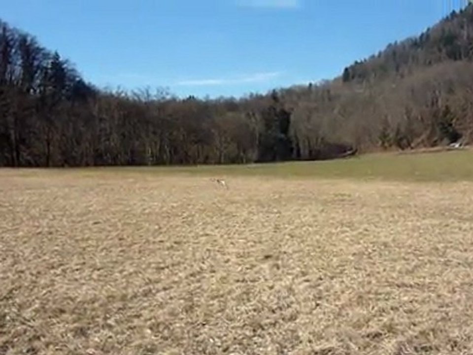 Premier crash de mon Drone