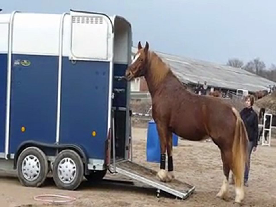 2012-03-11 Equifeel Sylvie van 1