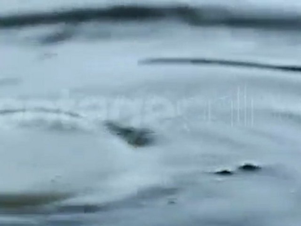 lemon falling into water footage_008018