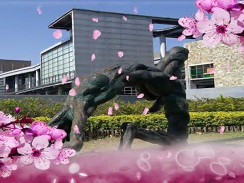 鑑賞建築之美