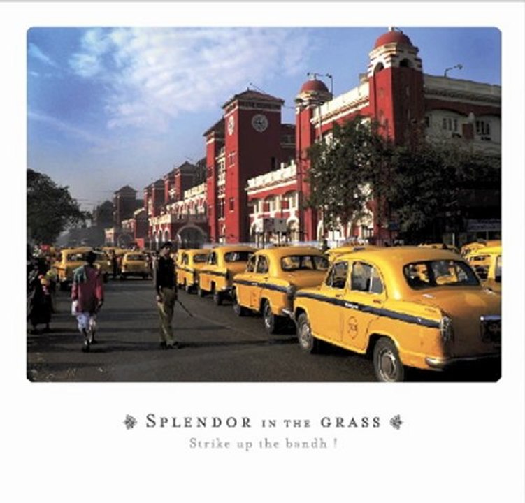 splendor in the grass - winter parade