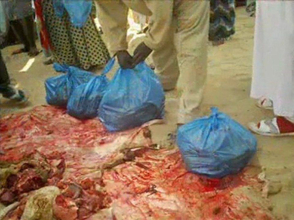 Afrika Hizmetleri. - Süleymanlılar