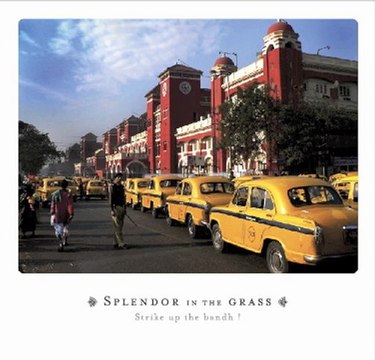 splendor in the grass - Denise you know