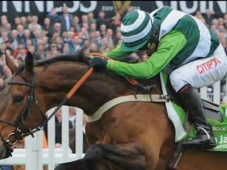 Ippica - Il primo giorno della Gold Cup