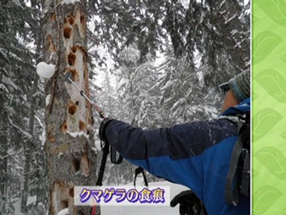 20120314 01