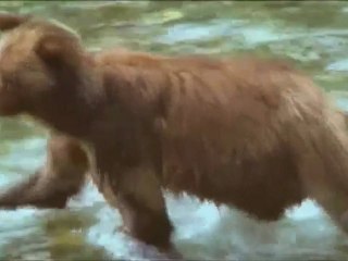 THE NATURE OF THE MUSIC - REBECCA