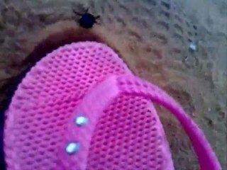 احسن واحد يتكلم لغه عربيه فصحى .قصيمي هههههه