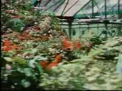 Mugam Enna Mogam Enna HQ...PAKEE Creation