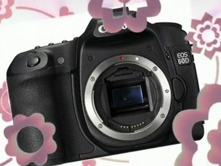 Review Amazing Deal For Canon EOS 60D 18 MP CMOS ...