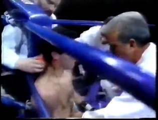 Dariusz Michalczewski vs. Roberto Dominguez Perez