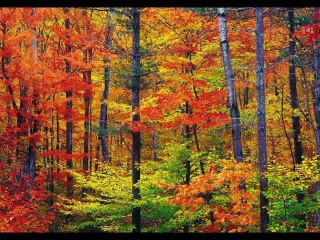 Ibrahim Jibreen - Surat Al-Anfal 1/3