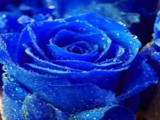 SOLD - North York Home for Sale