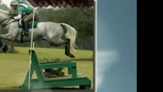 Portable Horse Jumps - Jumps for Horses