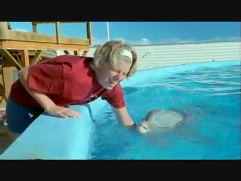 BBC Delfine sind Gute Denker (Teil 2)