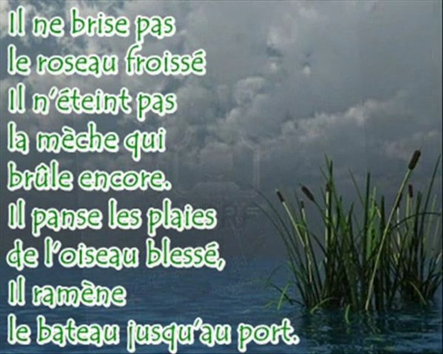 Il ne brise pas le roseau froissé