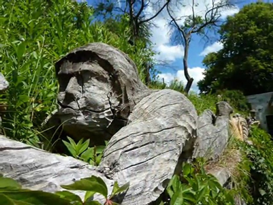 rzeźby  ogladamy