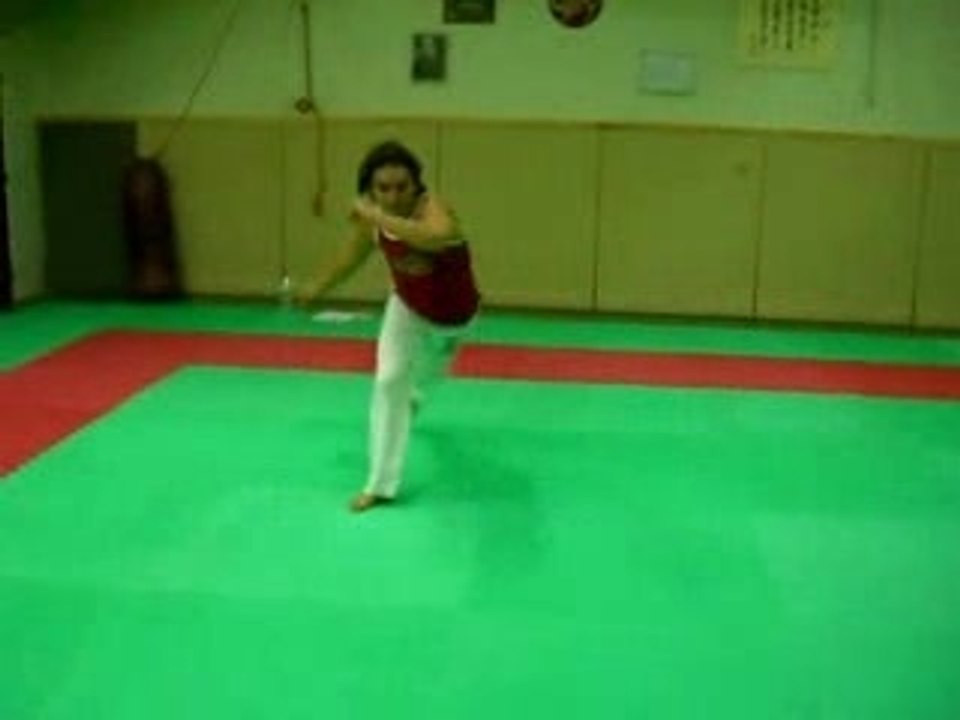Passage capoeira
