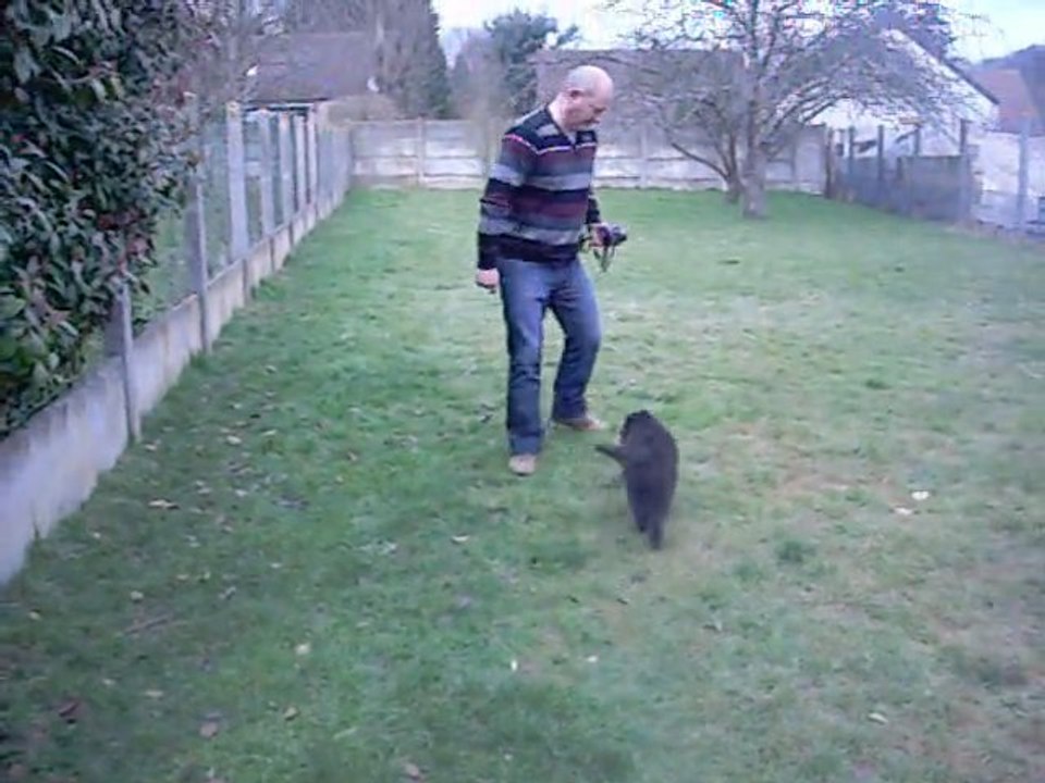 11 mars 2012 : Haer