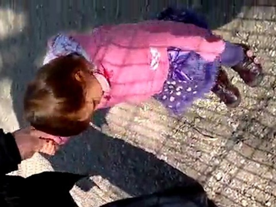 Elsa au parc du Moulineau