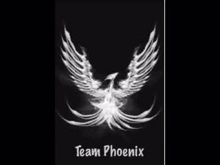 Team phoenix video part2 preview coming soon